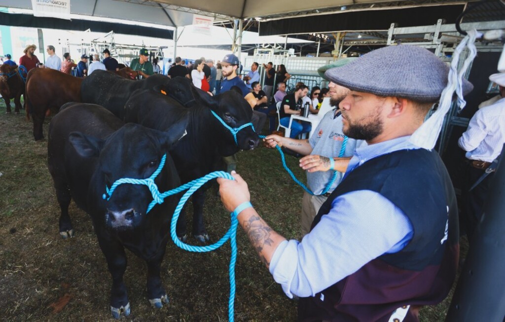 Expointer 2025 teve recorde de público, mas vendeu menos